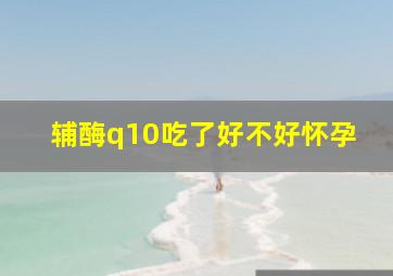 辅酶q10吃了好不好怀孕