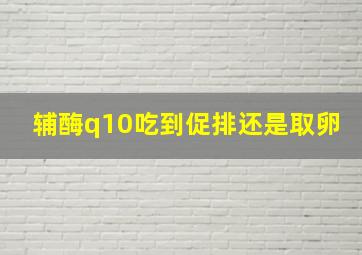 辅酶q10吃到促排还是取卵