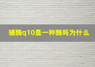 辅酶q10是一种酶吗为什么