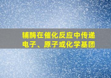 辅酶在催化反应中传递电子、原子或化学基团