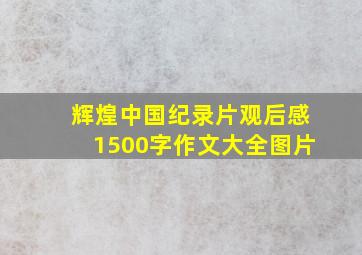 辉煌中国纪录片观后感1500字作文大全图片