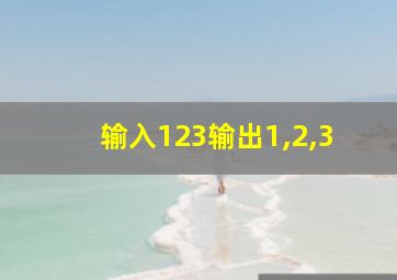 输入123输出1,2,3