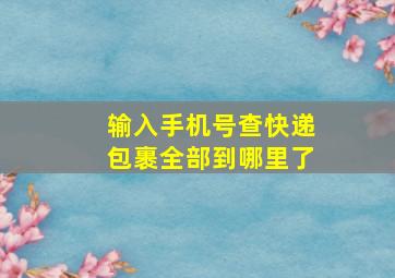 输入手机号查快递包裹全部到哪里了