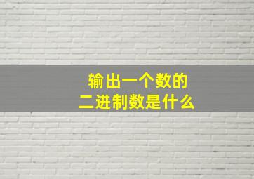 输出一个数的二进制数是什么