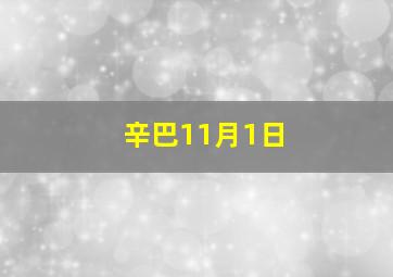 辛巴11月1日