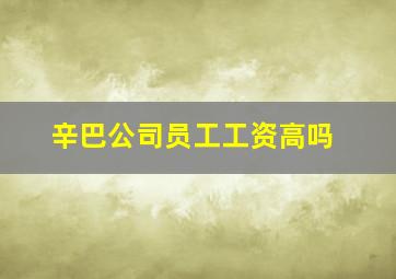 辛巴公司员工工资高吗