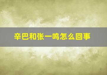 辛巴和张一鸣怎么回事