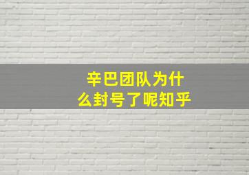 辛巴团队为什么封号了呢知乎