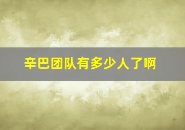 辛巴团队有多少人了啊