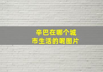 辛巴在哪个城市生活的呢图片