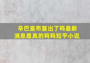 辛巴宣布复出了吗最新消息是真的吗吗知乎小说