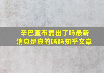 辛巴宣布复出了吗最新消息是真的吗吗知乎文章