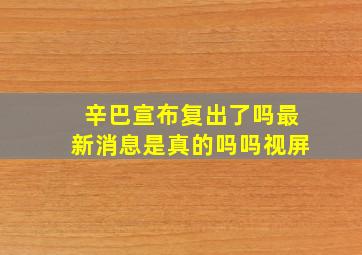 辛巴宣布复出了吗最新消息是真的吗吗视屏