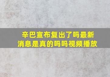 辛巴宣布复出了吗最新消息是真的吗吗视频播放