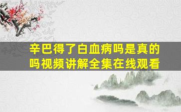 辛巴得了白血病吗是真的吗视频讲解全集在线观看