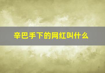 辛巴手下的网红叫什么