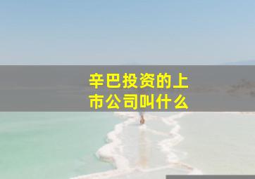 辛巴投资的上市公司叫什么