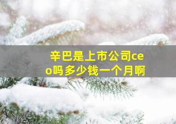 辛巴是上市公司ceo吗多少钱一个月啊