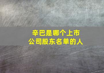 辛巴是哪个上市公司股东名单的人