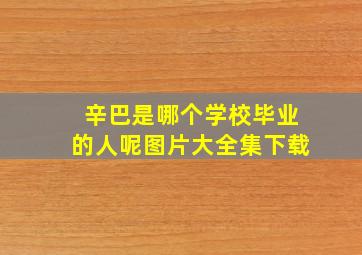 辛巴是哪个学校毕业的人呢图片大全集下载