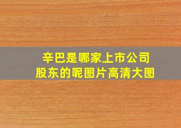 辛巴是哪家上市公司股东的呢图片高清大图