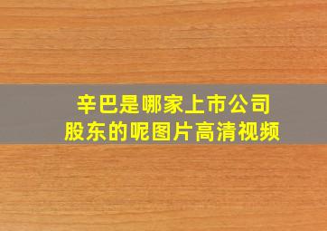 辛巴是哪家上市公司股东的呢图片高清视频