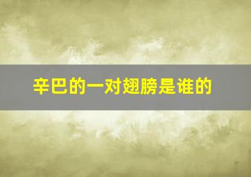 辛巴的一对翅膀是谁的