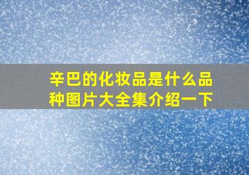 辛巴的化妆品是什么品种图片大全集介绍一下