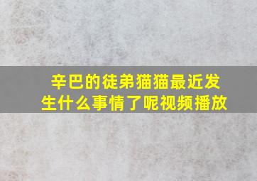 辛巴的徒弟猫猫最近发生什么事情了呢视频播放