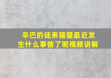 辛巴的徒弟猫猫最近发生什么事情了呢视频讲解