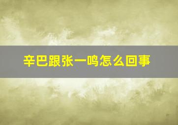 辛巴跟张一鸣怎么回事