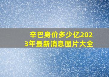 辛巴身价多少亿2023年最新消息图片大全