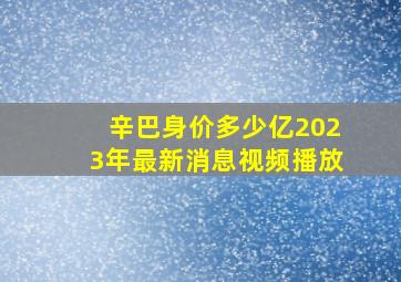 辛巴身价多少亿2023年最新消息视频播放