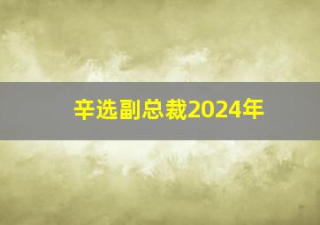 辛选副总裁2024年