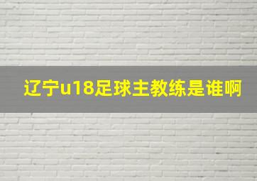 辽宁u18足球主教练是谁啊