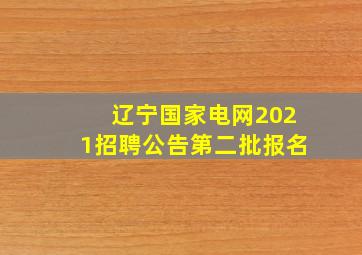 辽宁国家电网2021招聘公告第二批报名