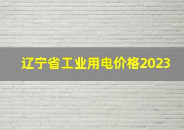 辽宁省工业用电价格2023