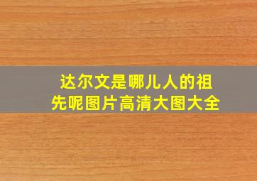 达尔文是哪儿人的祖先呢图片高清大图大全