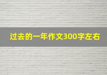 过去的一年作文300字左右