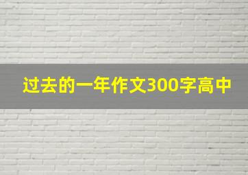 过去的一年作文300字高中