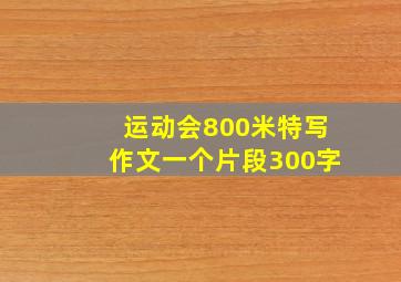 运动会800米特写作文一个片段300字