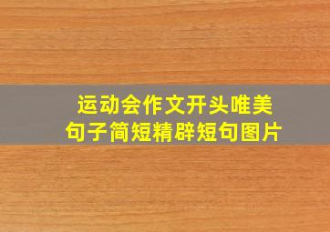 运动会作文开头唯美句子简短精辟短句图片