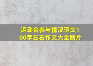 运动会参与情况范文100字左右作文大全图片