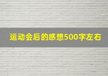 运动会后的感想500字左右