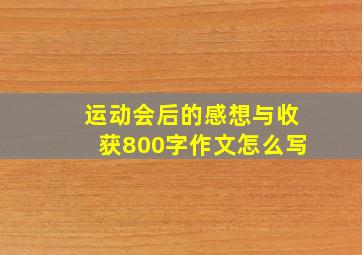 运动会后的感想与收获800字作文怎么写