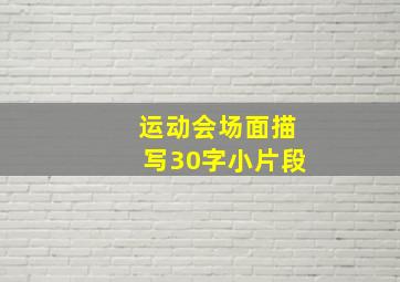 运动会场面描写30字小片段