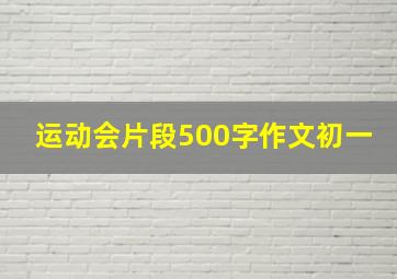 运动会片段500字作文初一