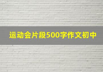 运动会片段500字作文初中