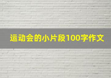 运动会的小片段100字作文