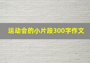 运动会的小片段300字作文